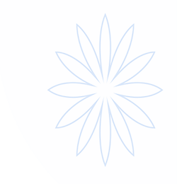 云开·全站APP(中国)官方网站- yunkai sports
